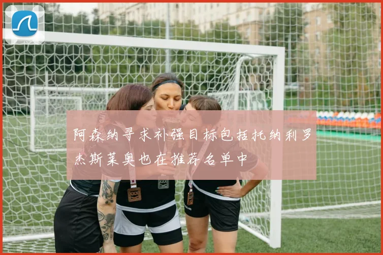 阿森纳寻求补强目标包括托纳利罗杰斯莱奥也在推荐名单中