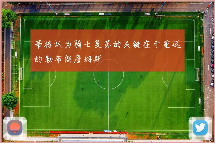 蒂格认为骑士复苏的关键在于重返的勒布朗詹姆斯